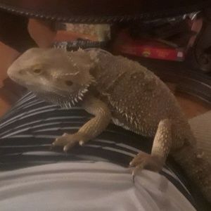 Meet your Posher, Bryan